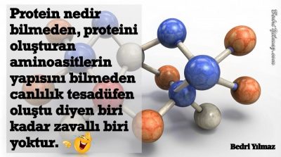 Protein – Bedri Yılmaz