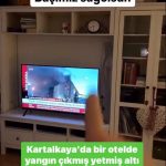 Almanya’da Denetim Nasıl Yapılır